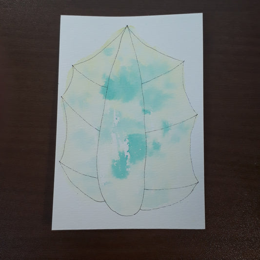 ミラクルリーフNo.20